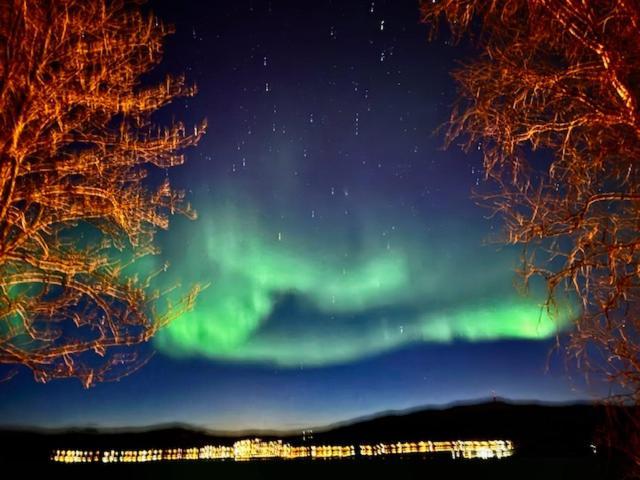 Bed And Breakfast Nordic Horn Brostadbotn エクステリア 写真